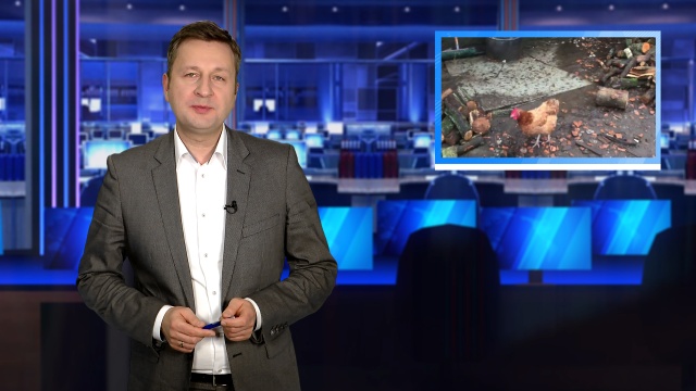 W podsumowaniu dnia m.in.: Barokowe płyty nagrobne ze Stepnicy odnalezione w... kurniku Wyrok w sprawie makabrycznej zbrodni na szczecińskich Gumieńcach podtrzymany Centrum firmy Zalando powstaje w Gardnie Szczeciński Pobożniak świętuje 70-lecie.