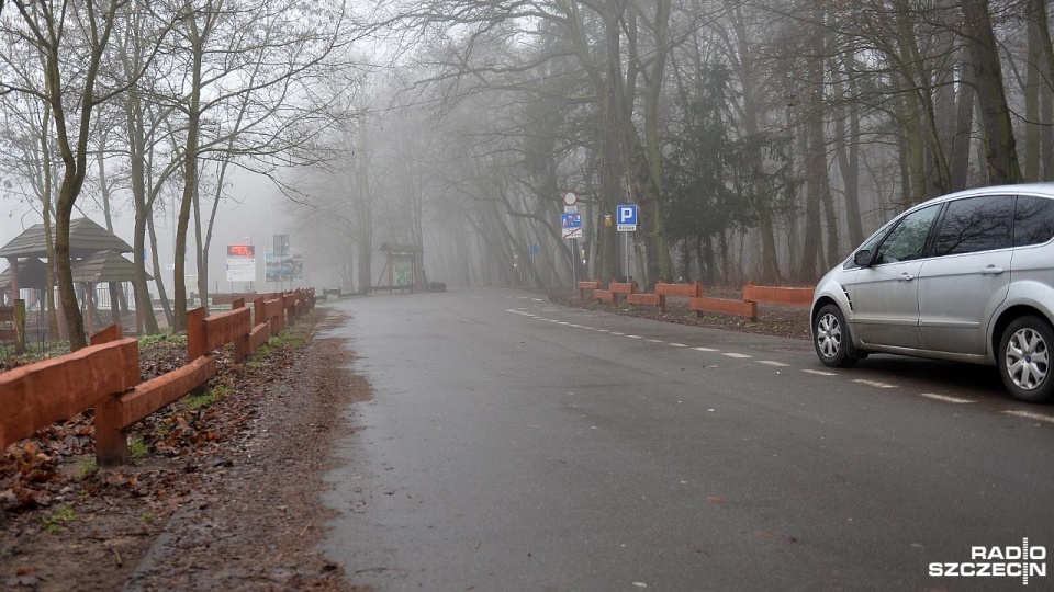 Dwie firmy zgłosiły się do przetargu na oświetlenie ścieżek rekreacyjnych wokół kąpieliska Arkonka i Jeziora Goplana w Szczecinie. Fot. Łukasz Szełemej [Radio Szczecin/Archiwum]