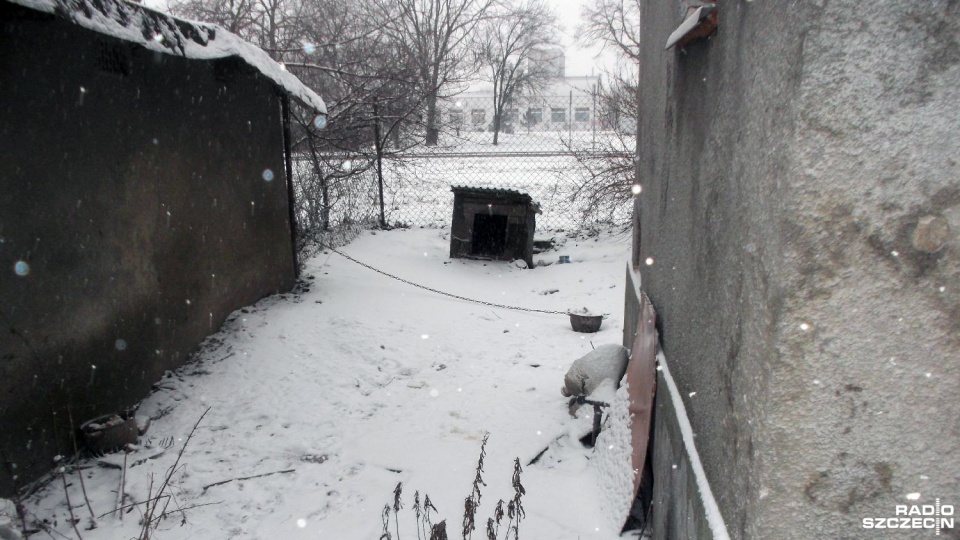 Fot. Straż Miejska Szczecinek