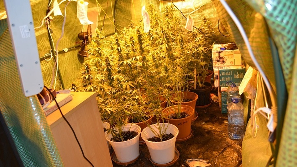 Fot. KMP w Świnoujściu