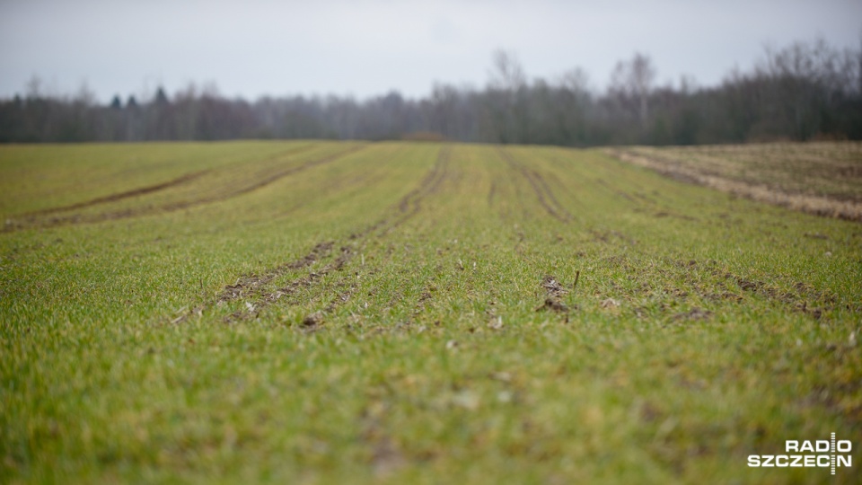 Do tej pory w województwie zachodniopomorskim dopłaty otrzymało około 20 proc. rolników. Fot. Konrad Nowak [Radio Szczecin]