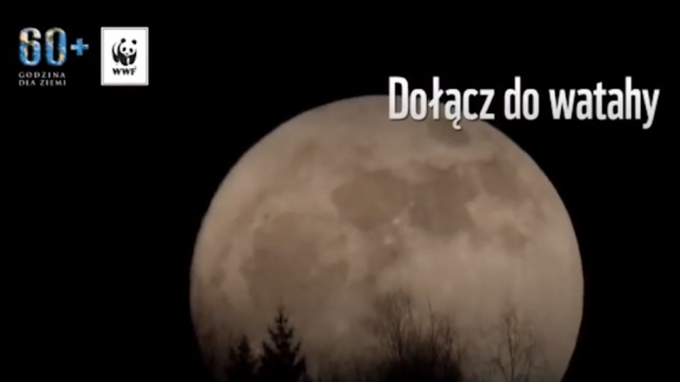 "Godzina dla wilka. Bądź głosem tych, którzy go nie mają". Fot. www.godzinadlaziemi.pl