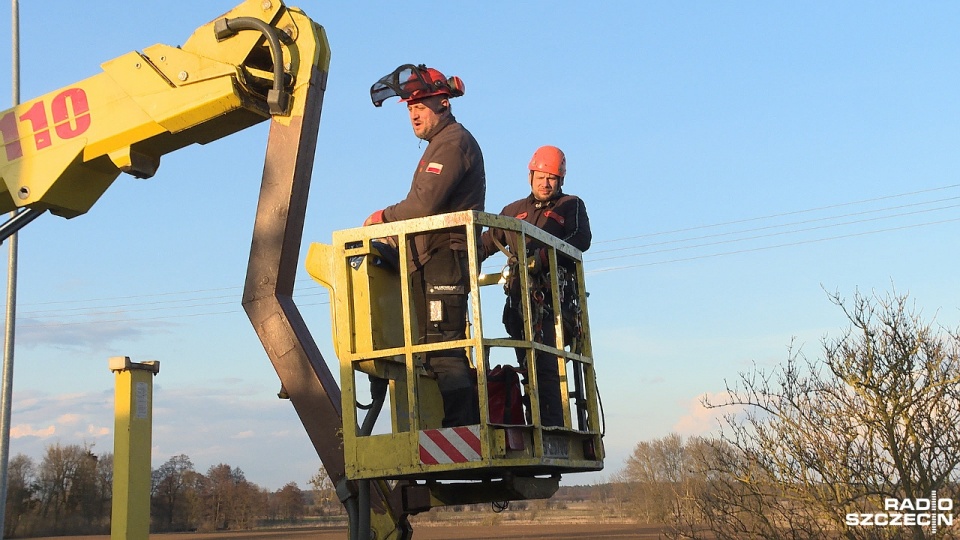 Nasi słuchacze Paweł i Darek uratowali przerażonego kota, który utknął na drzewie 15 metrów nad ziemią. Fot. Piotr Rakowski [Radio Szczecin]
