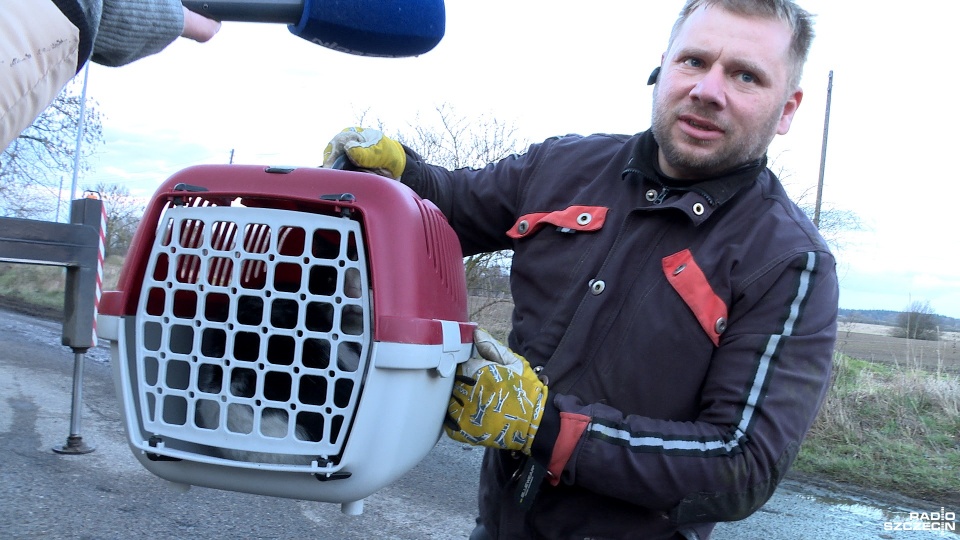 Nasi słuchacze Paweł i Darek uratowali przerażonego kota, który utknął na drzewie 15 metrów nad ziemią. Fot. Piotr Rakowski [Radio Szczecin]