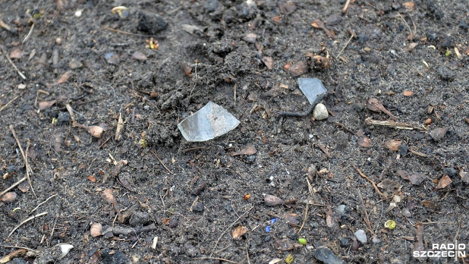 Porozrzucane kawałki szkła i to w promieniu kilkudziesięciu metrów - tak jest na wybiegu dla psów przy ul. Twardowskiego w Szczecinie. Fot. Łukasz Szełemej [Radio Szczecin]