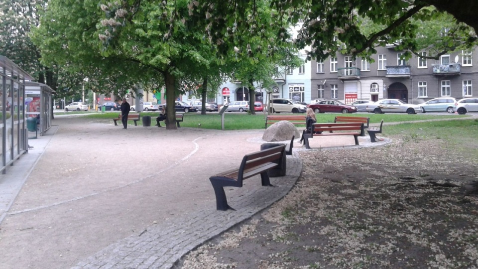 Skwer Kuklińskiego przy ul. Asnyka na szczecińskim Niebuszewie. Fot. Zakład Usług Komunalnych