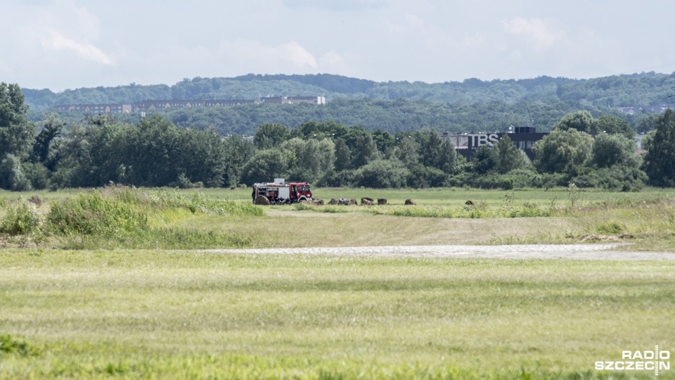Strażacy ugasili pożar lotniska w Dąbiu. Fot. Piotr Sawiński [Radio Szczecin]