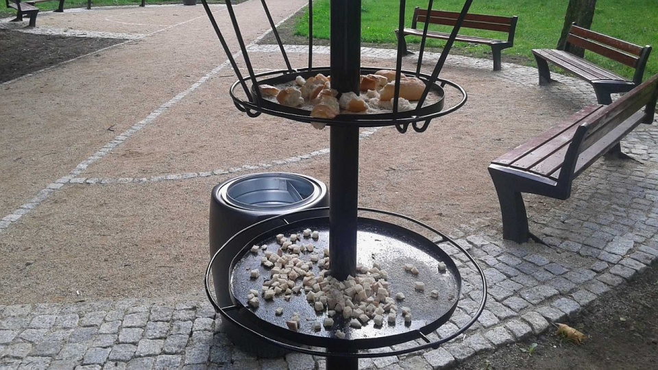 Hamaki na skwerze Kuklińskiego. Fot. ZUK Szczecin