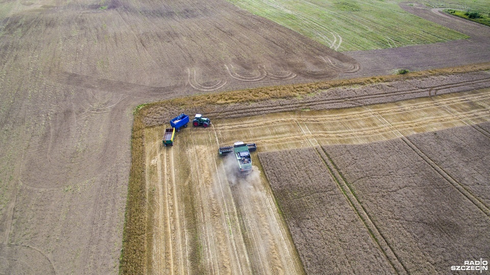 Gospodarstwo Tomasza Sikorskiego w Lisowie. Fot. Piotr Sawiński [Radio Szczecin]