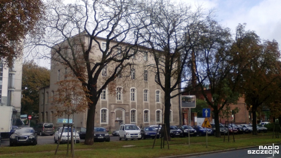 Kasztanowce wzdłuż ulicy Narutowicza w Szczecinie obumierają. Główną przyczyną jest szrotówek - szkodnik wyglądem przypominający motyla. Fot. Piotr Biryło [Radio Szczecin]