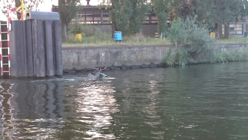 Fot. Szczecińskie WOPR "Heyki"