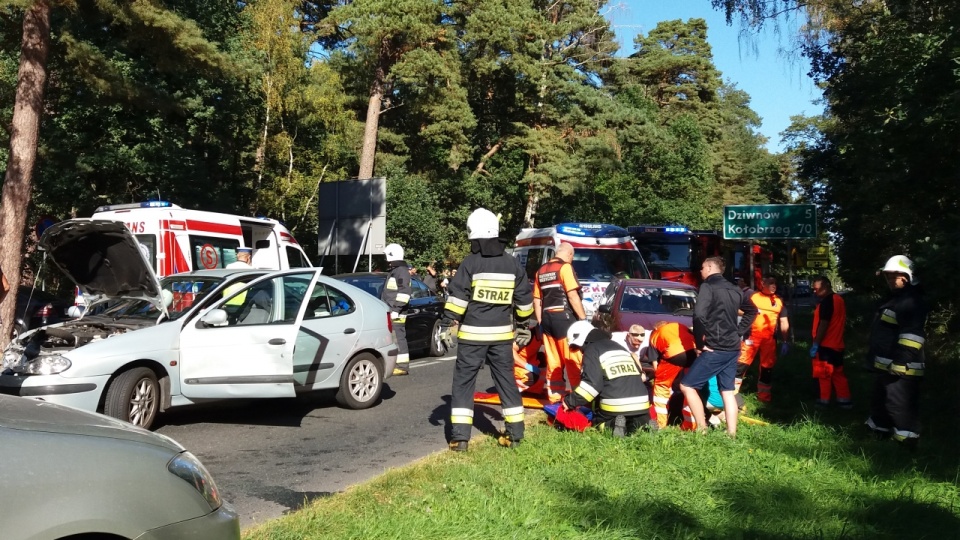 Trzy osoby ranne w wypadku na drodze nr 102 koło Międzywodzia. Przed godziną 15 zderzyły się trzy auta. Fot. Marian Klasik / ikamien.pl