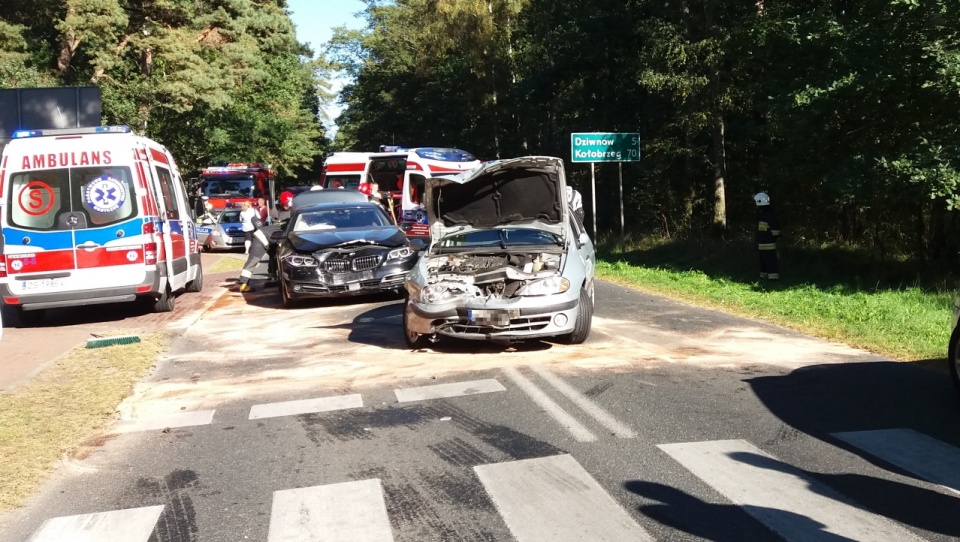 Trzy osoby ranne w wypadku na drodze nr 102 koło Międzywodzia. Przed godziną 15 zderzyły się trzy auta. Fot. Marian Klasik / ikamien.pl