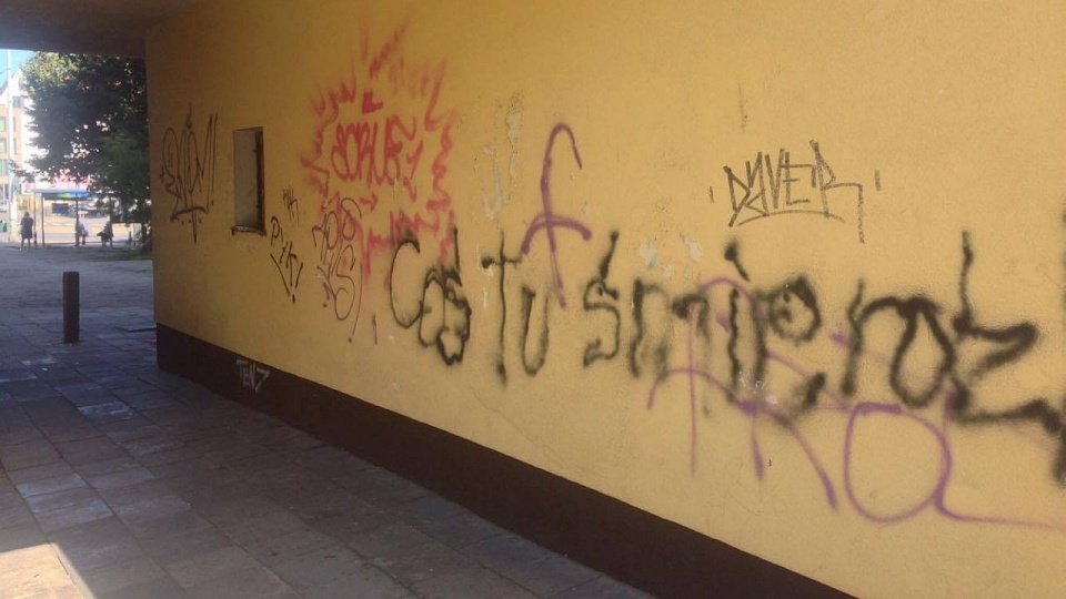 Mural powstanie na ścianach przejścia do Sąsiedniego Ogrodu Kultury. Fot. Sąsiedzki Ogród Kultury Facebook