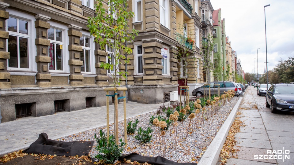 Zwiędły Zielony Przedogródek na Jana Pawła II. Fot. Konrad Nowak [Radio Szczecin]