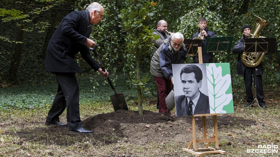 Kolejne drzewka pamięci na Cmentarzu Centralnym. Fot. Weronika Łyczywek [Radio Szczecin]