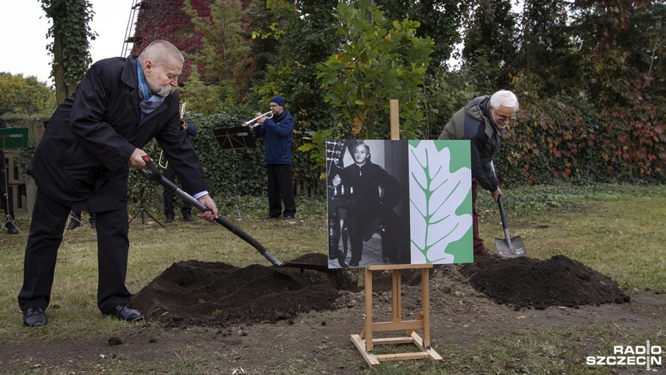 Kolejne drzewka pamięci na Cmentarzu Centralnym. Fot. Weronika Łyczywek [Radio Szczecin]