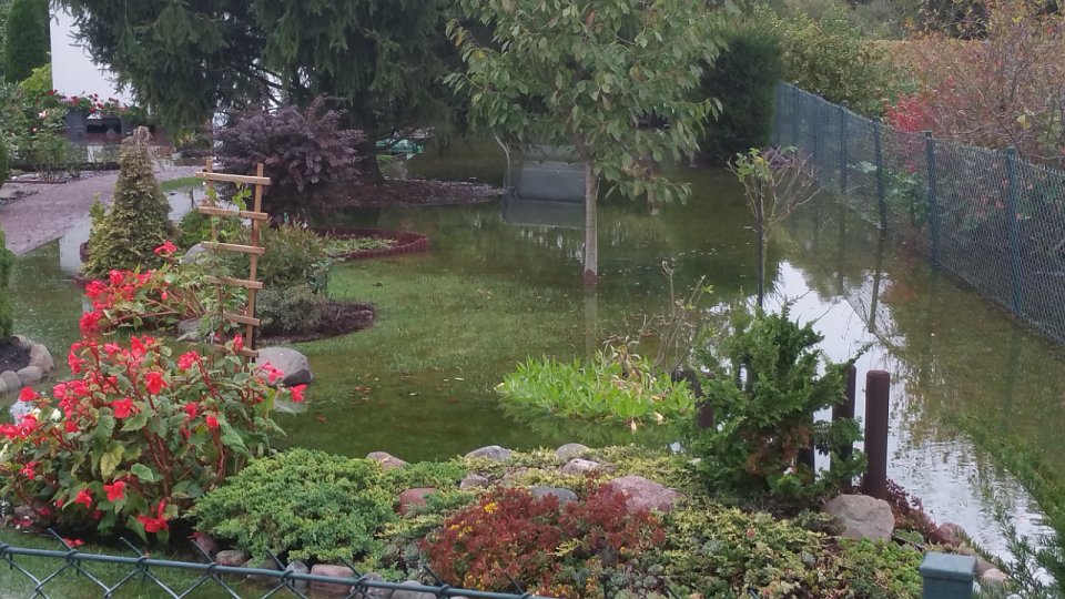 "Chełszcząca" zalewa ogródki "Nad Jeziorem" w Dąbiu. Fot. Paweł Kurdziałek