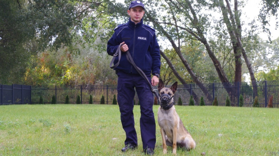 Pies Gaja na służbie w Gryfinie. Fot. Policja Gryfino