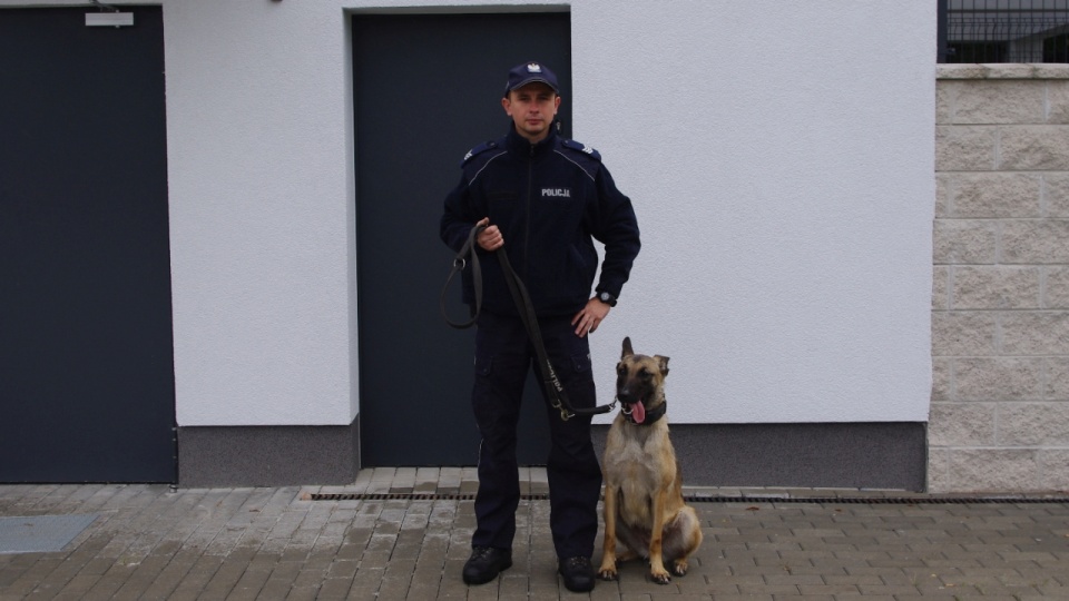 Pies Gaja na służbie w Gryfinie. Fot. Policja Gryfino