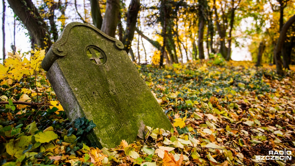 Cmentarz przy ul. Nehringa. Fot. Konrad Nowak [Radio Szczecin]