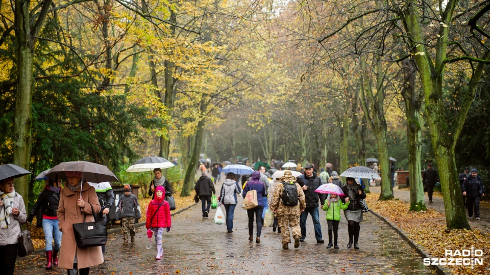 Szczecinianie i przyjezdni na szczecińskim Cmentarzu Centralnym. Fot. Konrad Nowak [Radio Szczecin]