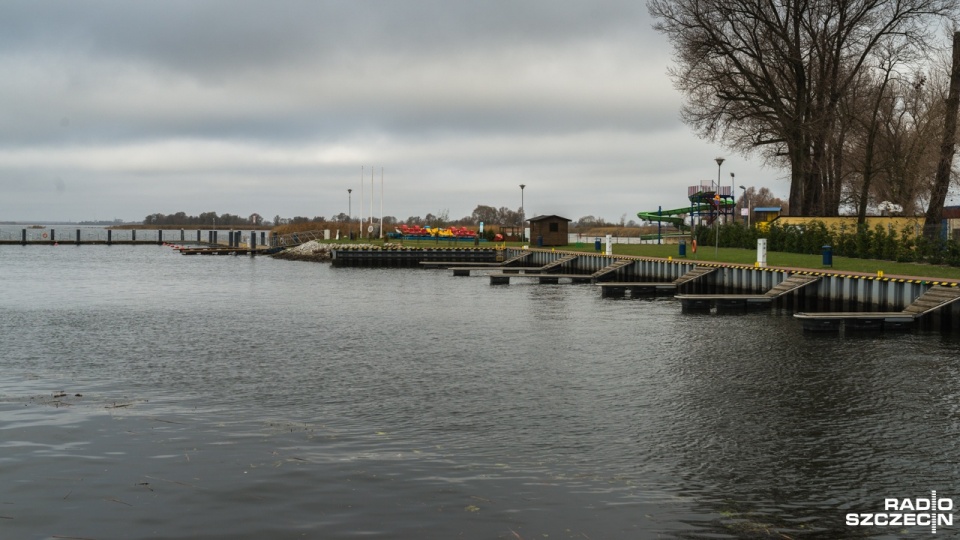 Wirus H5N8 jest śmiertelny dla ptaków. Fot. Marek Kowalczyk [Radio Szczecin]