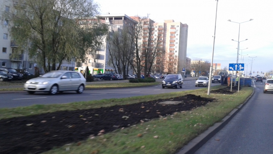 Od kilku dni w pasie rozdzielającym jezdnie ulicy Przyjaciół Żołnierza w Szczecinie trwają przygotowania do posadzenia 1200 róż. Fot. Mat. Zakładu Usług Komunalnych.
