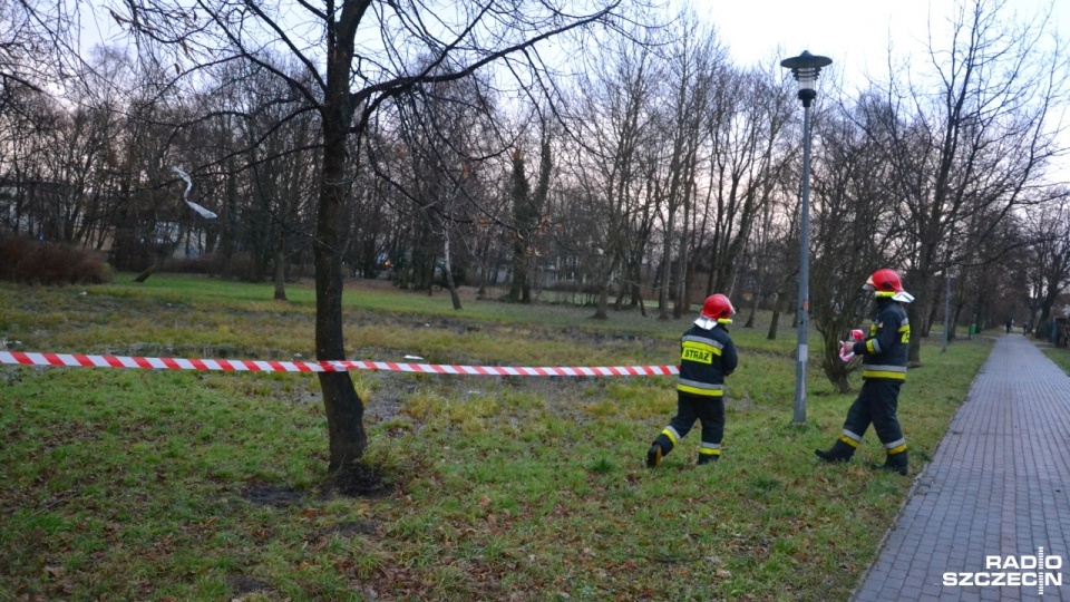 Na miejscu pracują strażacy, którzy zabezpieczyli teren i będą wypompowywać ciecz. Fot. Przemysław Polanin [Radio Szczecin]