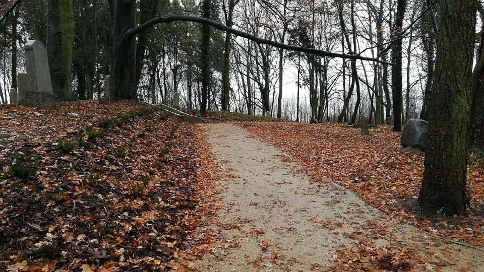 W parku pojawiły się nowe alejki, ławki i kosze na śmieci. Fot. Mat. ZUK