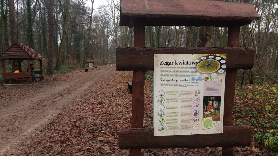 Na Prawobrzeżu, między osiedlami Bukowym a Słonecznym, stanęło m.in. sześć nowych, drewnianych wiat. Fot. Michał Elmerych [Radio Szczecin]