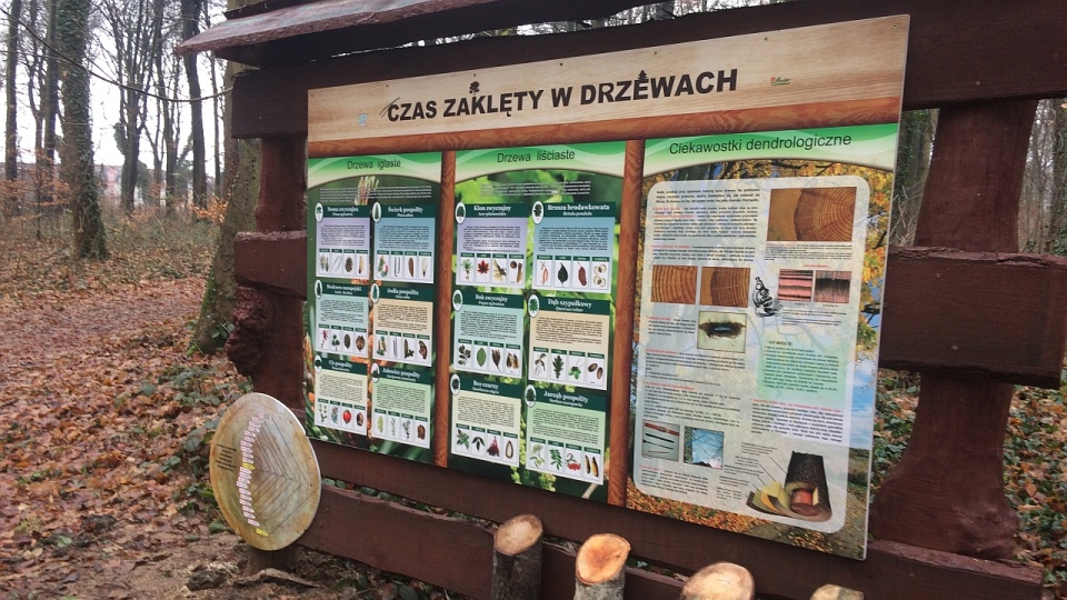 Na Prawobrzeżu, między osiedlami Bukowym a Słonecznym, stanęło m.in. sześć nowych, drewnianych wiat. Fot. Michał Elmerych [Radio Szczecin]