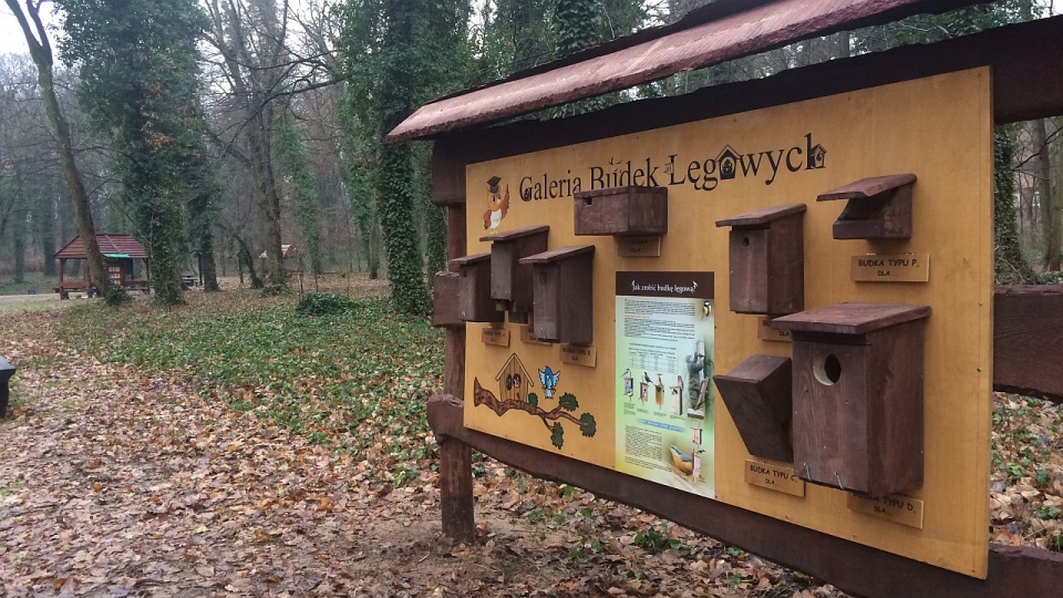 Na Prawobrzeżu, między osiedlami Bukowym a Słonecznym, stanęło m.in. sześć nowych, drewnianych wiat. Fot. Michał Elmerych [Radio Szczecin]