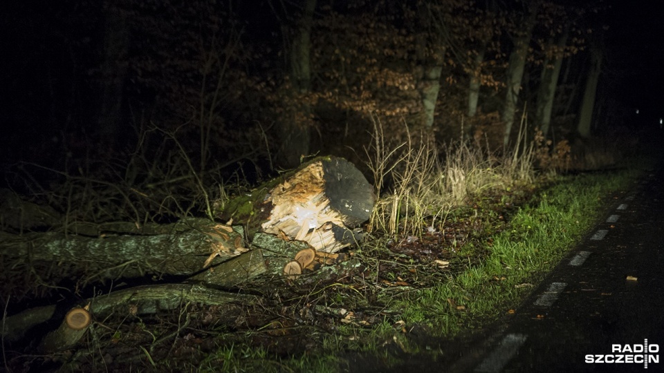 Fot. Olaf Nowicki [Radio Szczecin]