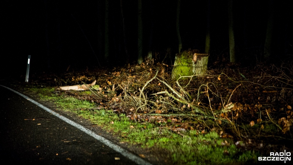 Skutki orkanu Barbara na trasie numer 106 w powiecie Choszczeńskim. Fot. Olaf Nowicki [Radio Szczecin]