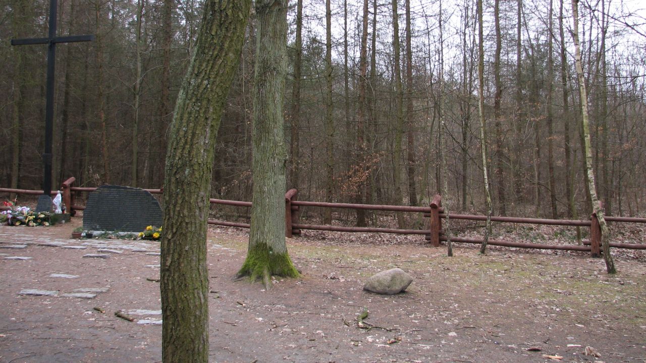 31 lat temu w Lesie Kabackim rozbił się samolot IŁ-62 M Tadeusz Kościuszko. Maszyna leciała z Warszawy do Nowego Jorku.