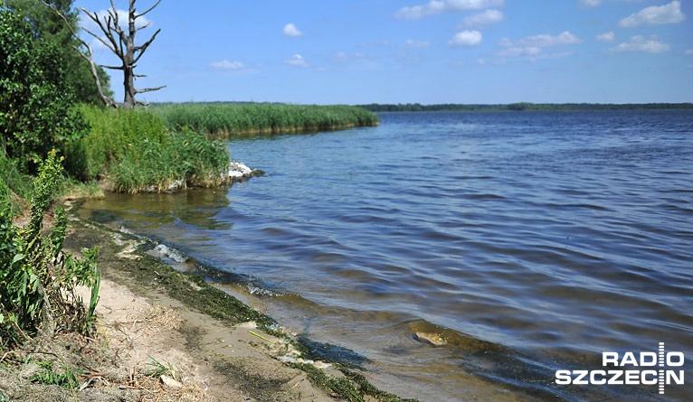 Zapomniana plaża zyska nowe oblicze. Szykuje się rewitalizacja plaży mieleńskiej na wyspie Wielka Kępa w Szczecinie.