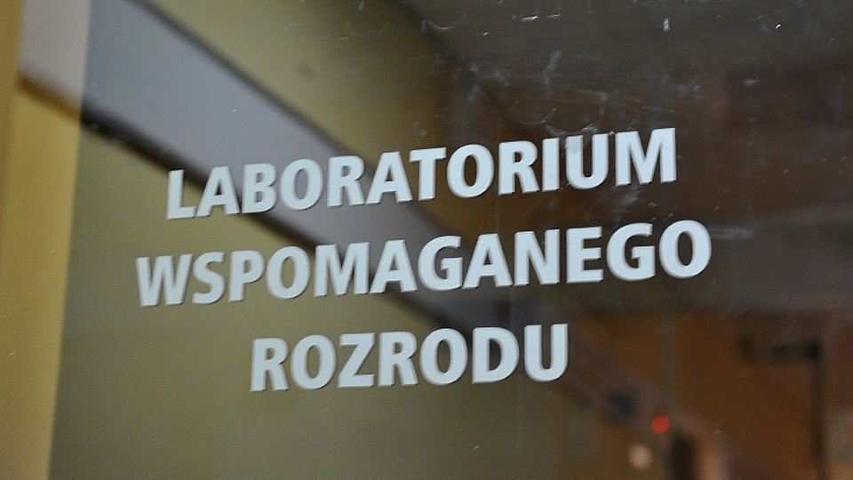 Rusza rządowy program in vitro