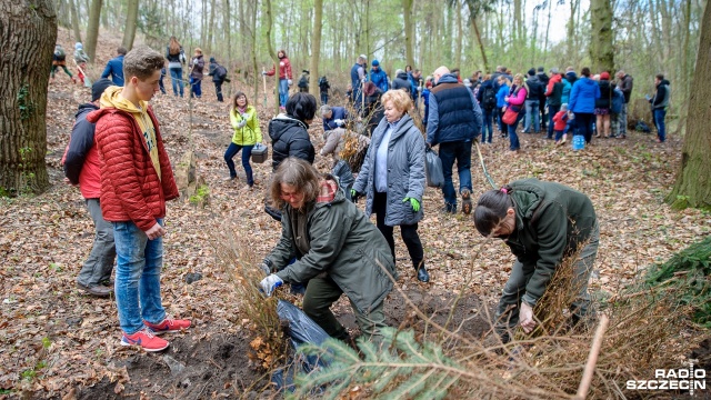 W Parku Leśnym Zdroje przy ulicy Kopalnianej rodziny posadzą buki i świerki. Fot. Olaf Nowicki [Radio Szczecin] Szczecinianie sadzą tysiące drzew [ZDJĘCIA]