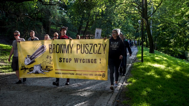 Protest w obronie Puszczy Bukowej i polskich lasów. Weronika Łyczywek [Radio Szczecin] Protest w obronie Puszczy Bukowej i polskich lasów [WIDEO, ZDJĘCIA]