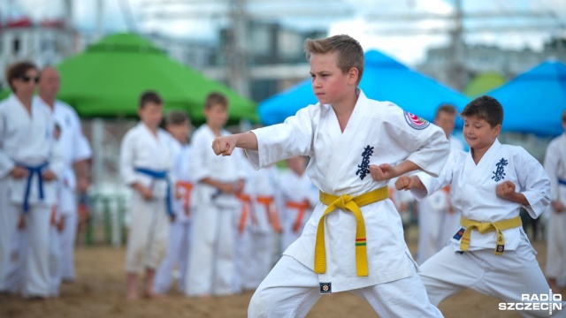 Pokaz karate. Strefa Sportu. The Tall Ships Races. Fot. Olaf Nowicki [Radio Szczecin] Karate, siatkówka, frisbee, czyli finał TSR na sportowo [ZDJĘCIA]