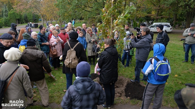 Sadzenie drzewek pamięci na szczecińskim Cmentarzu Centralnym. Fot. Łukasz Szełemej [Radio Szczecin] Dziennikarka, historyk sztuki i pisarz mają drzewka pamięci [ZDJĘCIA]