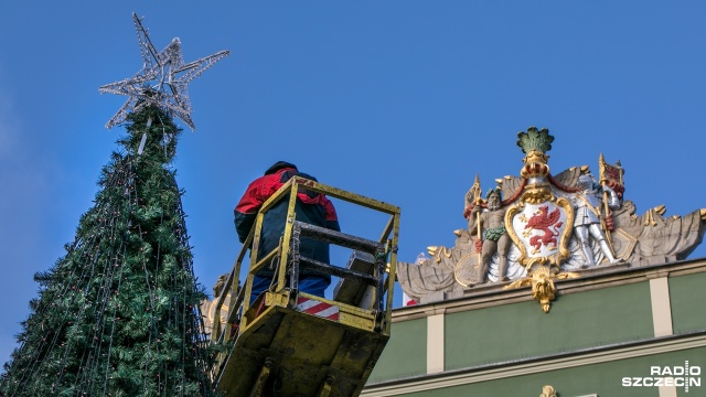 Miejska choinka przed szczecińskim magistratem. Fot. Weronika Łyczywek [Radio Szczecin] Choinka przed urzędem już stoi. Rozbłyśnie w mikołajki [ZDJĘCIA]