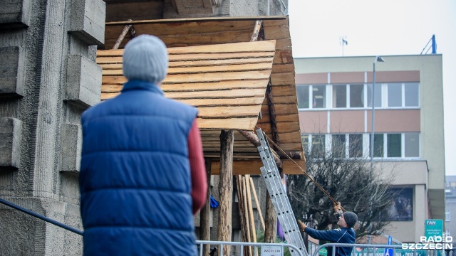 Biblijne postaci, zwierzęta, wspólnie śpiewane kolęd - przed Sanktuarium Najświętszego Serca Pana Jezusa ruszyły prace nad żywą szopką. Fot. Olaf Nowicki [Radio Szczecin] Żywa szopka w budowie. To już tradycja Szczecina [ZDJĘCIA]