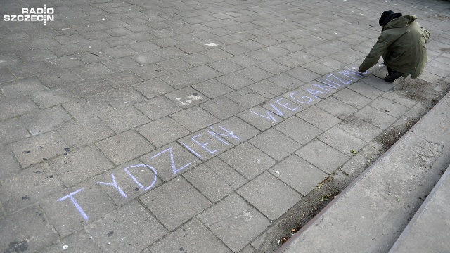 Chodnik w centrum Szczecina zamienił się w kolorową tablicę. Wszystko za sprawą Tygodnia Weganizmu, który po raz pierwszy rozpoczął się w Szczecinie.
