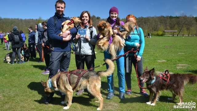 200 psów z przewodnikami wbiegło do lasu. Tak rozpoczął Kołobrzeski Dogtrekking, czyli bieg z psem na orientację.