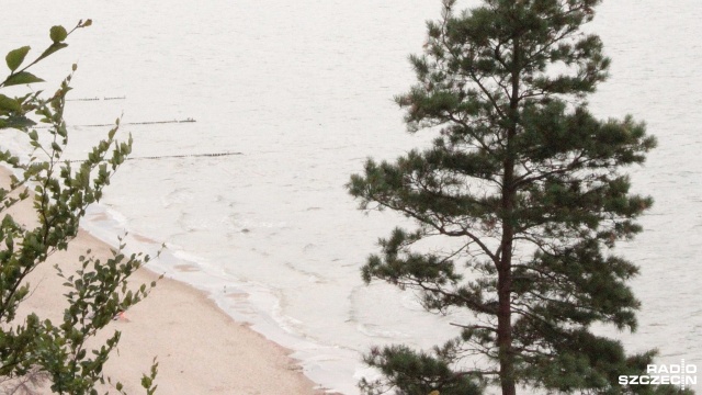 Z okazji Ogólnopolskiego Dnia Naturystów, w kurorcie otwarto oficjalną plażę dla amatorów nagiego opalania.