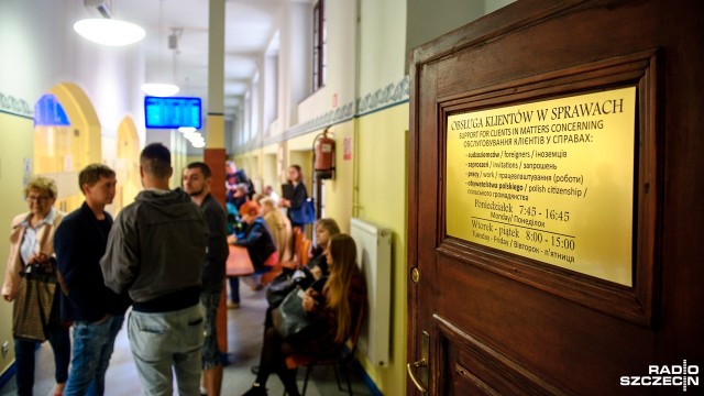 Rynek pracy przyjazny Ukraińcom