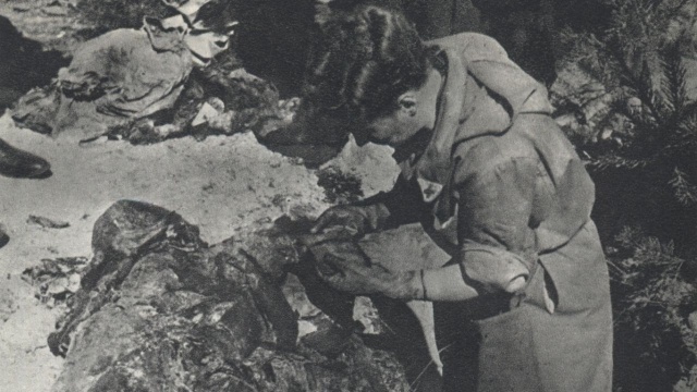 77 lat temu w Palmirach koło Warszawy Niemcy rozstrzelali 358 więźniów Pawiaka - 276 mężczyzn i 82 kobiety. Była to największa spośród 21 egzekucji, jakich Niemcy dopuścili się w Palmirach od grudnia 1939 do lipca 1941 roku.