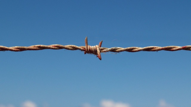 Kanadyjska armia buduje przy granicy ze Stanami Zjednoczonymi tymczasowy obóz dla uchodźców.